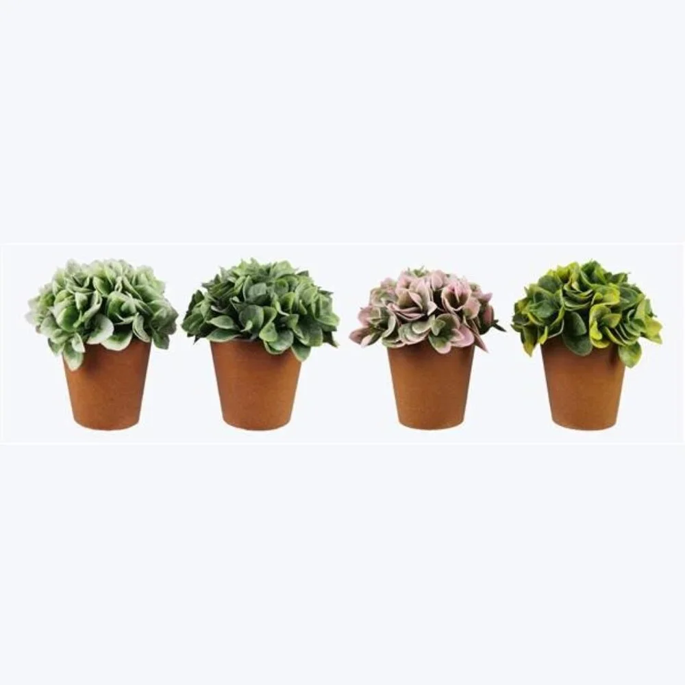 6.5 In. Artificial Potted Succulents In Terracotta-Like Pots With Green & Pink F